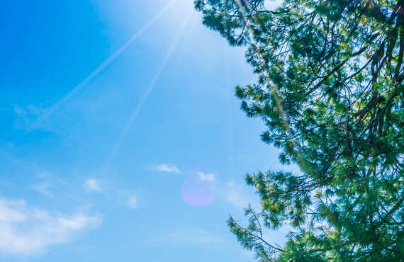 浜松市中央区で夏バテ・紫外線のダメージにお悩みなら｜浜松市中央区のプライベートサロン 鍼灸チェリーハンド